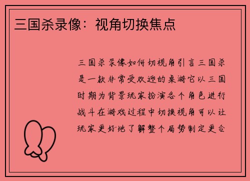 三国杀录像：视角切换焦点